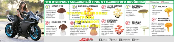 а пвп мука Михайловск