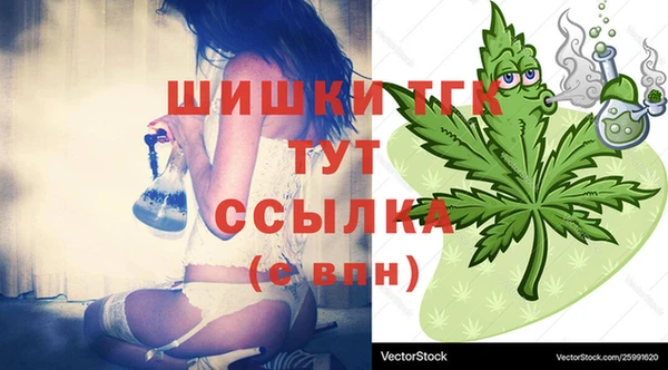 индика Абдулино