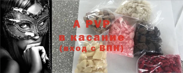 ПСИЛОЦИБИНОВЫЕ ГРИБЫ Абаза