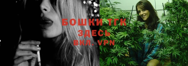 ПСИЛОЦИБИНОВЫЕ ГРИБЫ Абаза